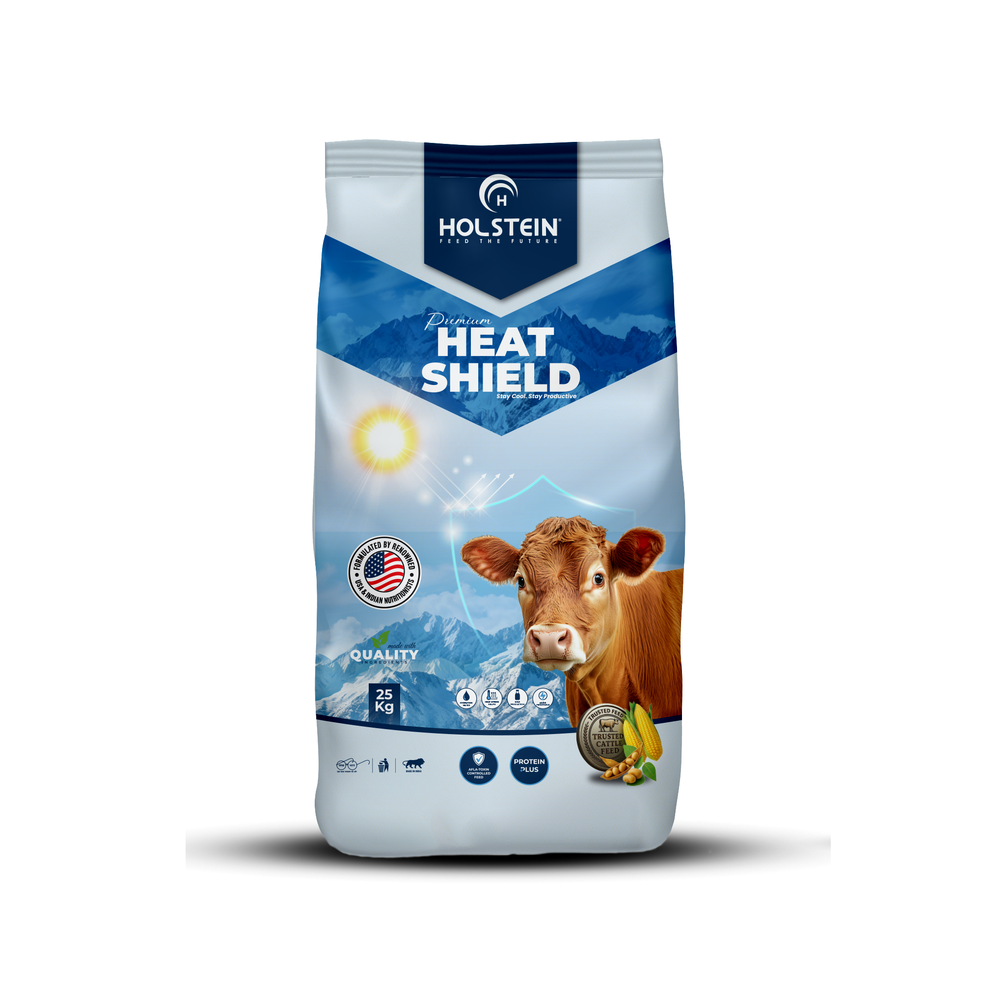 Heat Shield
