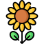 Sunflower Icon