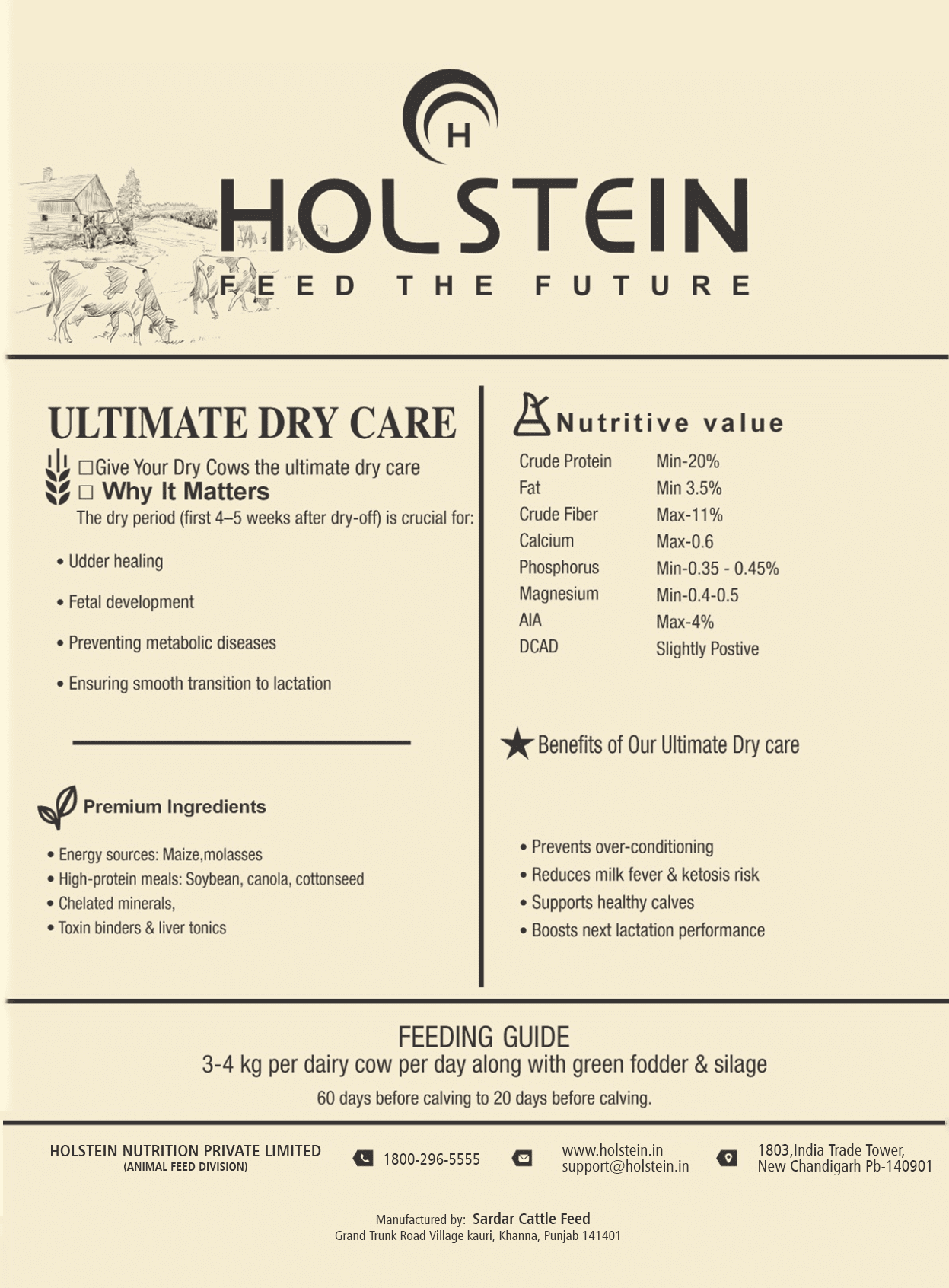 Best Ultimate Dry Care